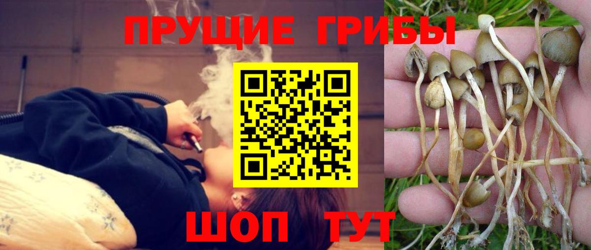 Псилоцибиновые грибы Magic Shrooms  Галлюциногенные грибы Psilocybe  Реутов  Вход с VPN 